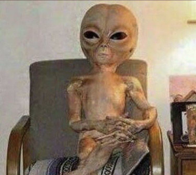 arielbaezva's tweet photo. Yo explicandole al Alien del #Area51 como caí en tus mentiras https://t.co/0MwZRoDNP6