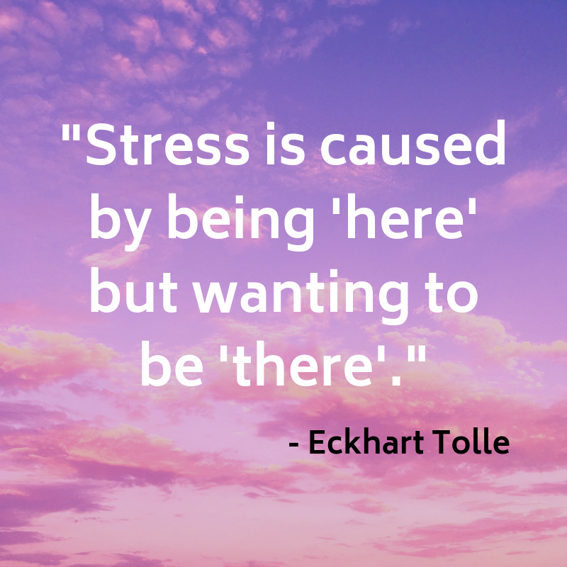 Anyone else ever feel like this?

When we're under stress, it's easy to feel like we're rushing around like a headless chicken. 

Stop for 10 seconds and just take some deep breaths #wednesdaywisdom #justbreathe #stress #sheffieldmassage #massage #reflexology #relaxation