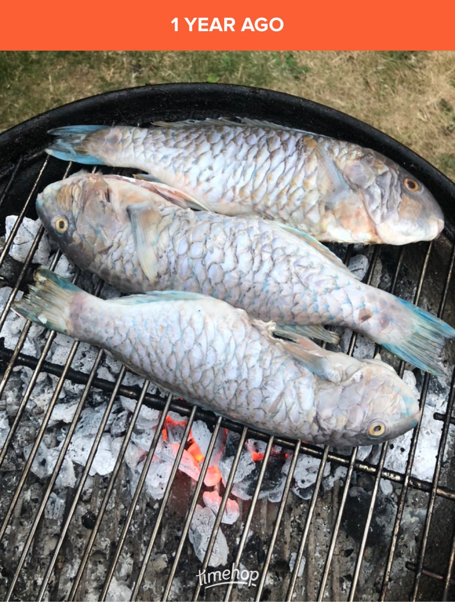 samsbbquk's tweet photo. The parrot fish that we cooked a year ago today! #SamsBBQ https://t.co/rWjTtDBZu3