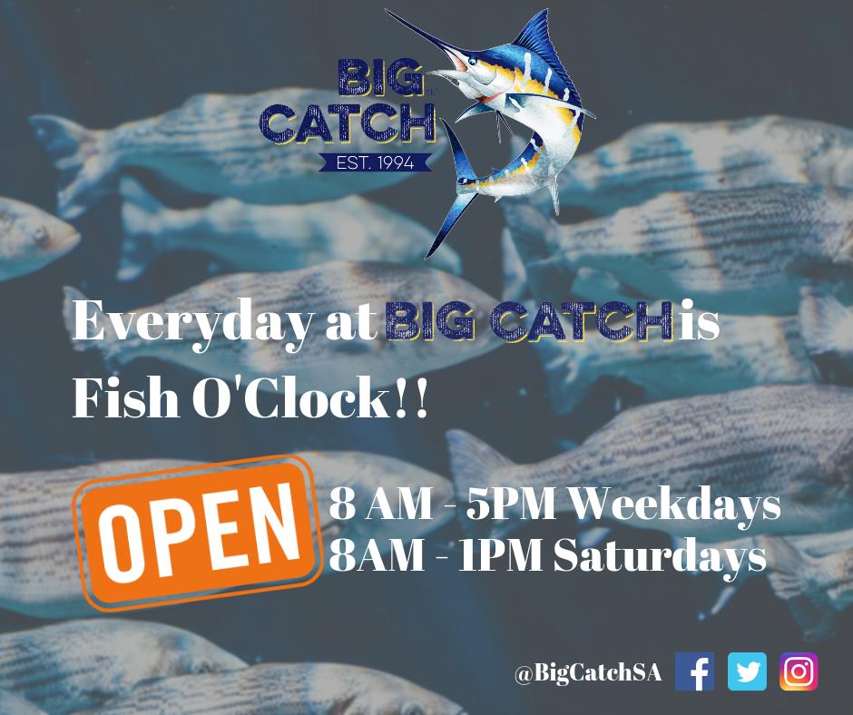 big catch paarden eiland