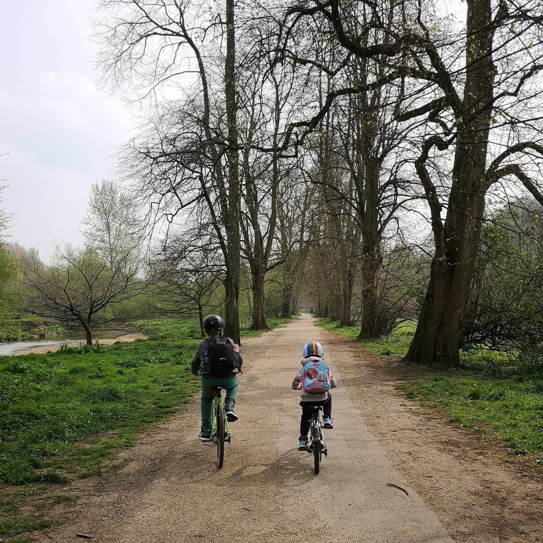 BikeClub_UK's tweet photo. Cycling off into the sunset together ☀️🚲 even their pedal strokes are in sync! 😍 who’s your child’s favourite riding partner? 👯♀️👯♂️
-
📸 @autobox007 “Bike ride and a good chinwag”
-
#frog55 #frogbikes #sprogsonfrogs #cyclesprog #helmetsarecool #ilovemybrain #frog73 https://t.co/YC1JIgei6v