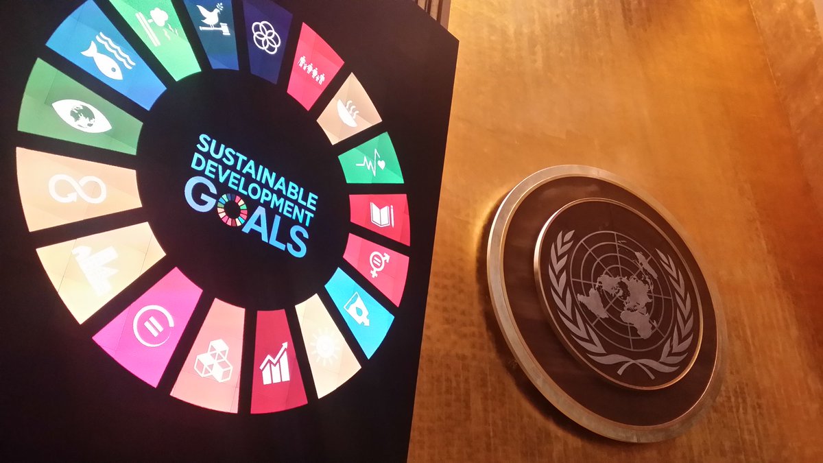 NASDubai_GC's tweet image. WOW! Ilike @PBISLibus and Emil @NASDubaiSchool deliver their powerful messages at the General Assembly Hall at on behalf of youth around the World. #NAEUNICEF #SDGs #HLPF2019