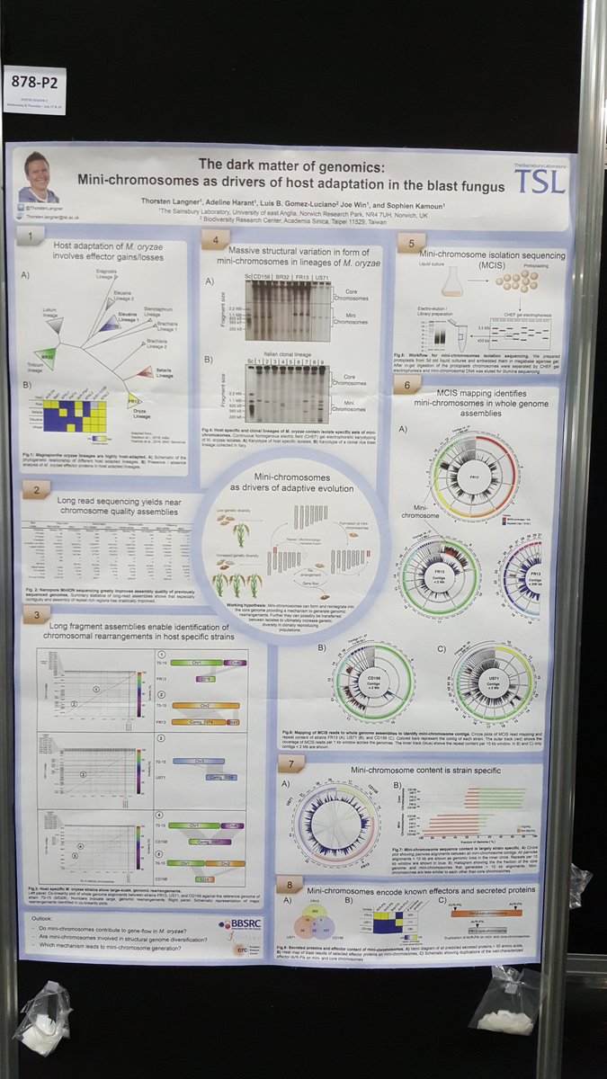 Interested in pathogen adaptation, genomic, structural variation, and supernumerary mini-chromosomes? Come chat with me at tonight's poster session #icmpmi2019 about how we tackle these big topics <a href="/KamounLab/">Sophien Kamoun</a> <a href="/TheSainsburyLab/">The Sainsbury Laboratory</a> . Poster: 878-P2