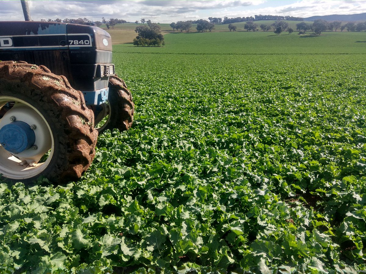 Lawrence Balcomb tweet media