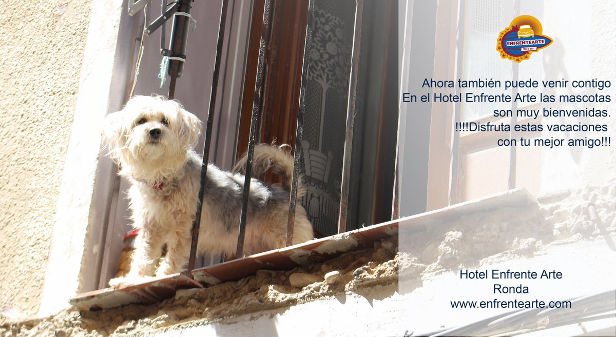 Don't travel alone. Let your friend enjoy your trip to Ronda. We love pets! No viajes sin tu mejor amigo. ¡En el hotel Enfrente Arte de Ronda nos gustan las mascotas!