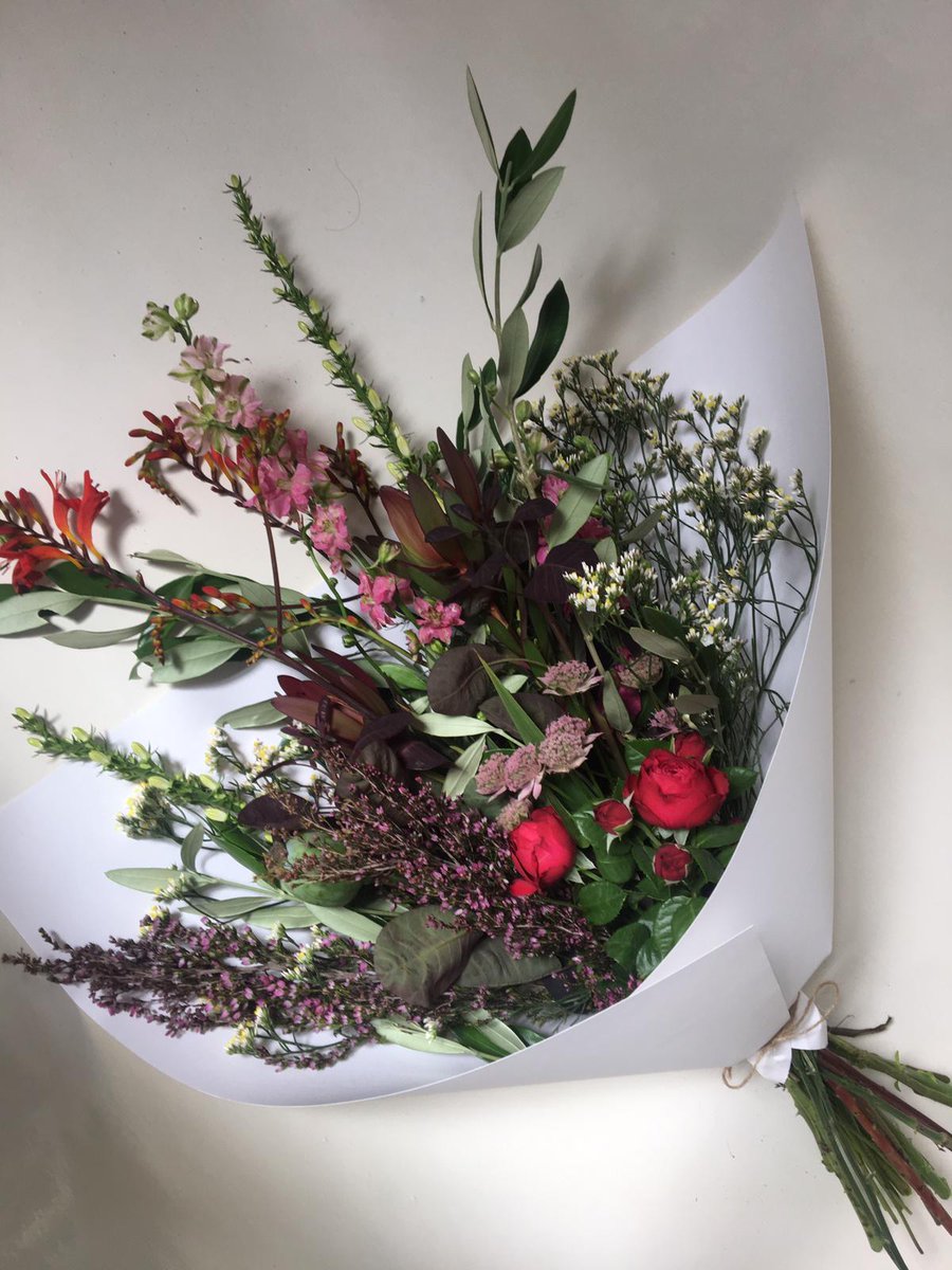 Red Morning Light | Bunch of the week - mailchi.mp/e6fdd4274d6c/r…