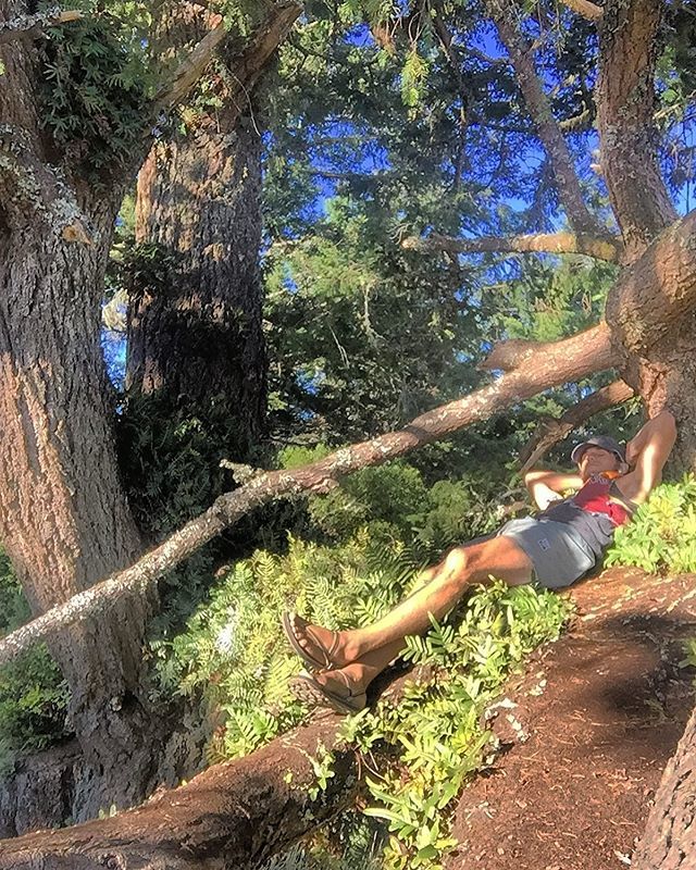 earth_runners_'s tweet photo. From we come, and to we shall return. #HumanOfEarth 🌎
.
.
.
#downtoearthperson #downtotheearth #earthnap #treenap #climbatree #earthing #treevibes #earthrunners #rewildbefree https://t.co/MYBRyeobww https://t.co/P6gvM0N8ib