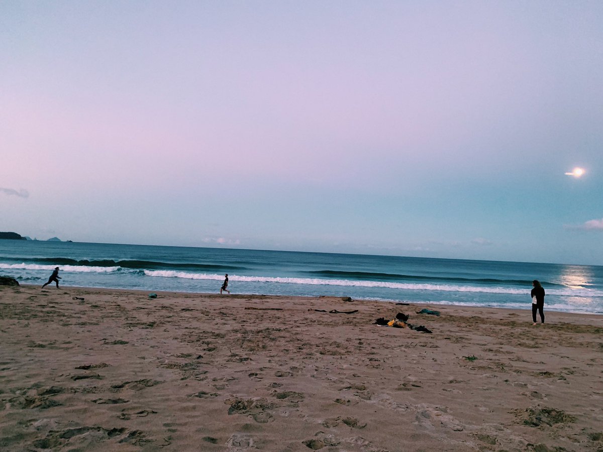 fevziyehasan's tweet photo. Not gonna lie, sad to be back in Hamilton after awesome writing retreat with the #EcoDivLab in #Opoutere with @BarnesEcoDiv
Highlights include: awesome walks, frisbee on the beach, raucous kaka’s, yum food, and lots of productive writing! #MichaelKingHouse #mongoose #ecologist https://t.co/UFFXLyNgNF