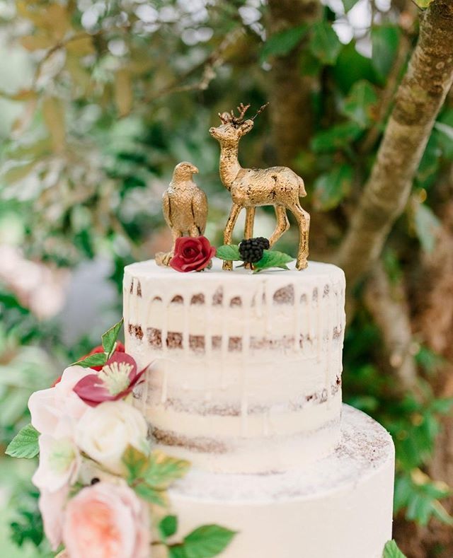 EM_Events_'s tweet photo. Voglia di qualcosa di dolce?
Cake & Sweet buffet @patriziapuliga Carola's Bakery
Sugar flowers @monica_manca
.
.
.
.
#morraswedding #elisamoccievents #weddingiscoming #gotwedding #fallwedding #realwedding #bosco #GOTwedding #gameofthro… https://t.co/6vNWbdujf1 https://t.co/UnMk6ZiKqr