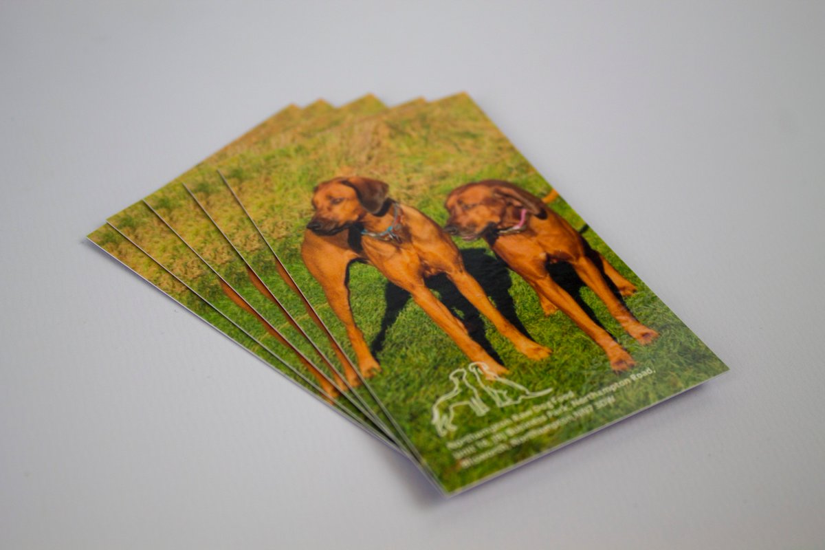 Dats_Print's tweet image. We print leaflets, posters, banners and more! Call us today on 01933 650588 to create your order.

High Quality✔️
Quick Turnaround✔️
Low Cost✔️

#Northamptonshire #AffordablePrint #LowCostPrint