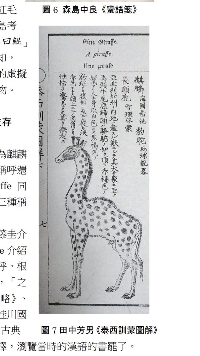 Hastorang ですよねぇ。かつてキリンの名は、漢書由来のキリン、英名