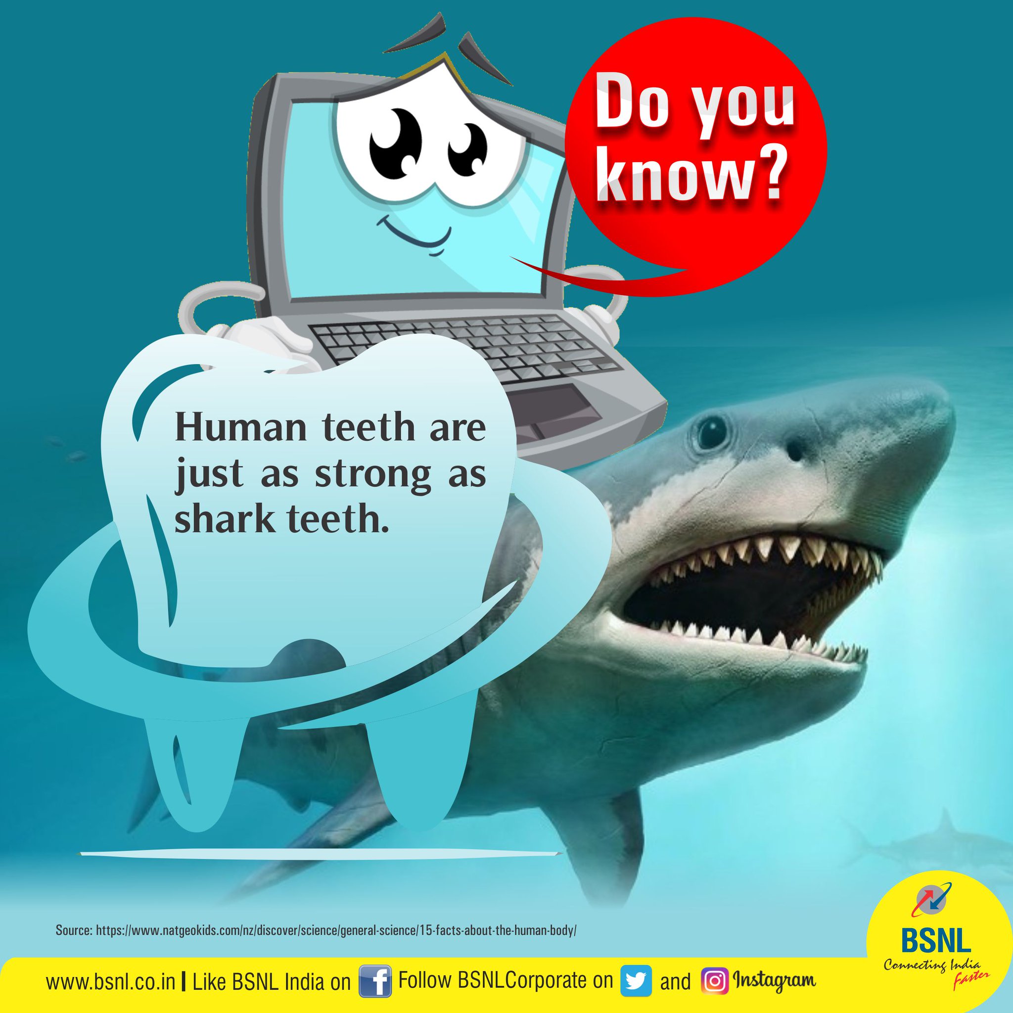 Human With Shark Teeth