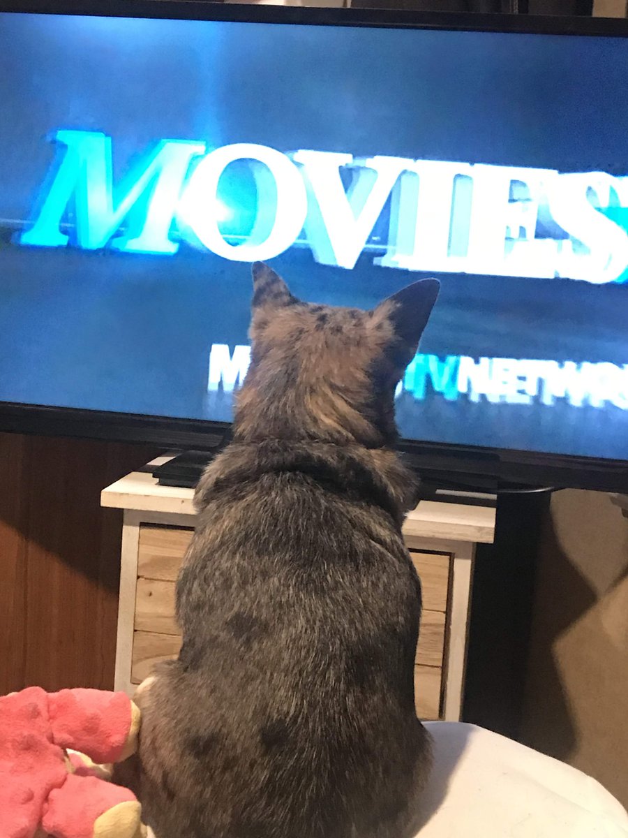 Glitzy Trains Daddy to do New Trick buff.ly/2xyV9x9