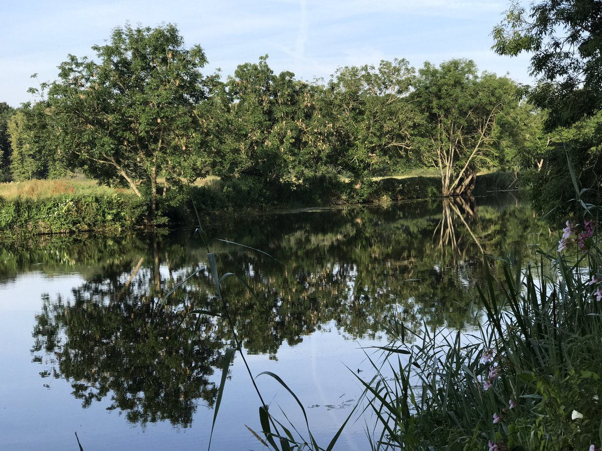 JoLMurphy's tweet photo. River like a mirror this morning! #wimborne #dorset #riverwalk #dogwalk https://t.co/y5ANYsQjGF