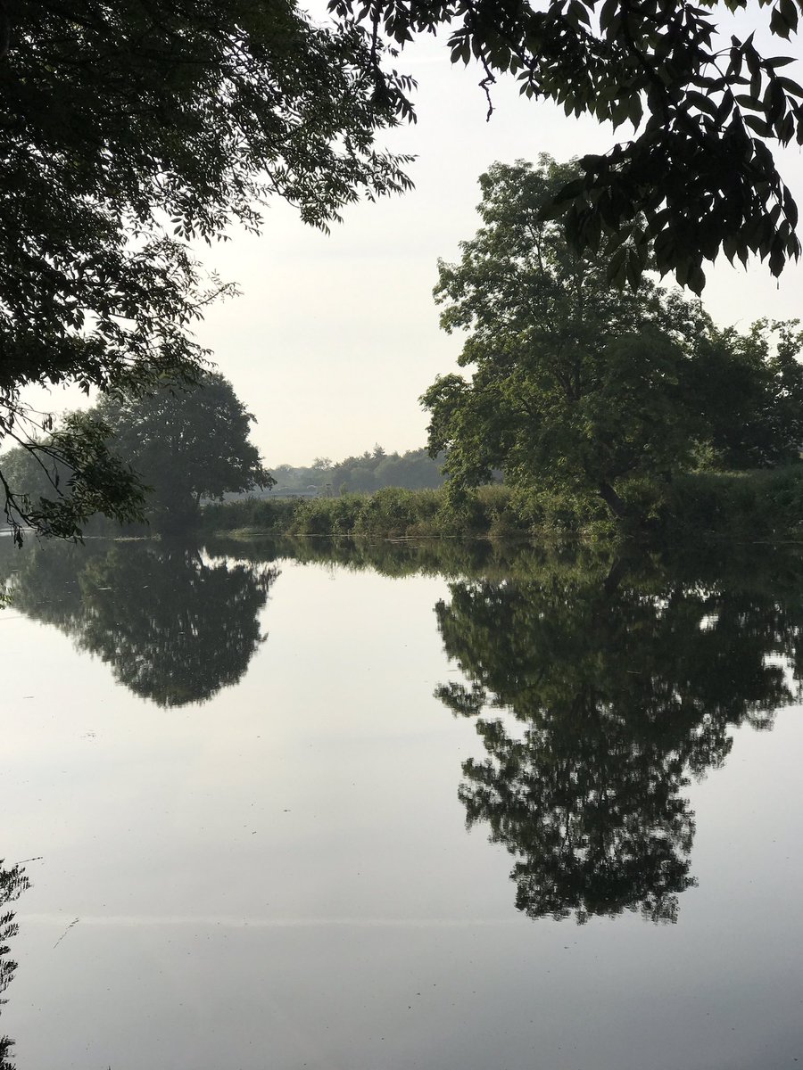 River like a mirror this morning! #wimborne #dorset #riverwalk #dogwalk