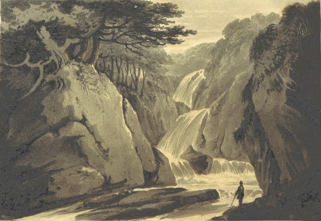 Museum of Walking tweet media