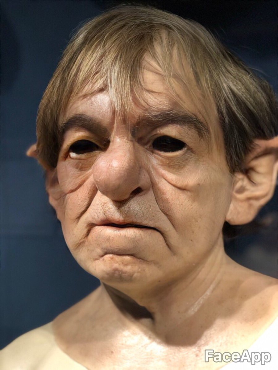 Fjordio's tweet photo. Hairy Potter studios. @wbtourlondon #FaceApp #harrypotter https://t.co/HlpQqYZ4rF