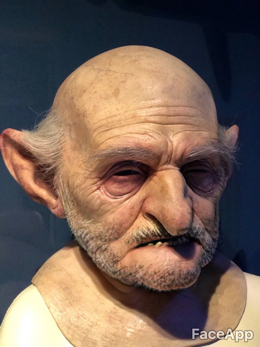 Fjordio's tweet photo. Hairy Potter studios. @wbtourlondon #FaceApp #harrypotter https://t.co/HlpQqYZ4rF