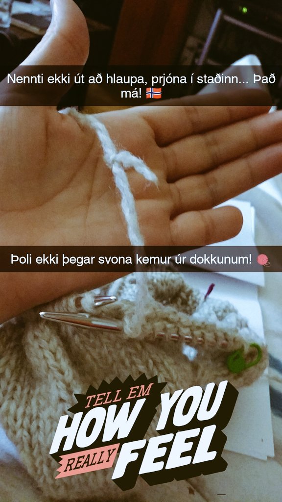 Guðrún Kristins (@gudrun_kr) on Twitter photo 