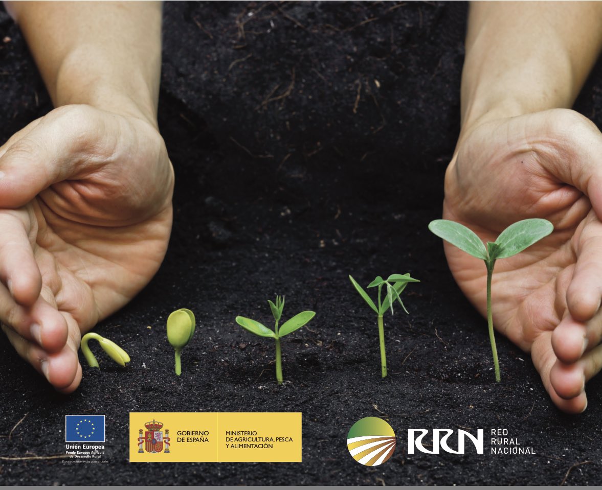 arcaruralcat's tweet photo. 🇪🇺 Nou butlletí @FonsUECat. Tota la informació sobre el #finançament europeu a #Catalunya ➡ https://t.co/QgAZeXKVQT
📢 Destaca la publicació de la @redrunacional amb un recull de bones pràctiques dels #PDRs 14-20: #Arrenca @EspaisPonent #ENFOCC @Pro_Odisseu i molts +!!!
📷 #RRN https://t.co/yD3gqVJTFT