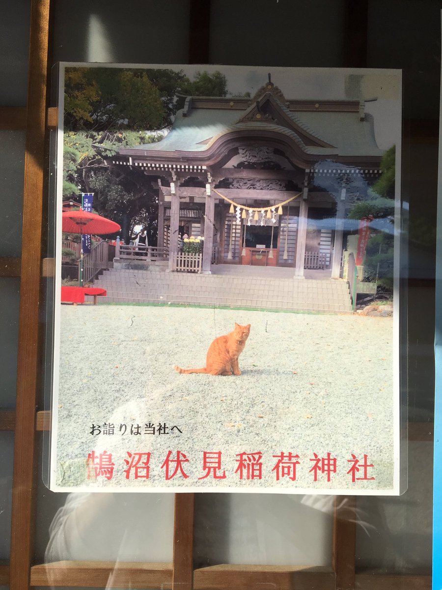 MarcoYossy's tweet photo. #鵠沼神社
#アイスラッガー御守��
数多の怪獣を斬り刻んだアイスラッガー御守りがある神社。トラ柄の猫がよく似合う。 https://t.co/50gkV3h7q5