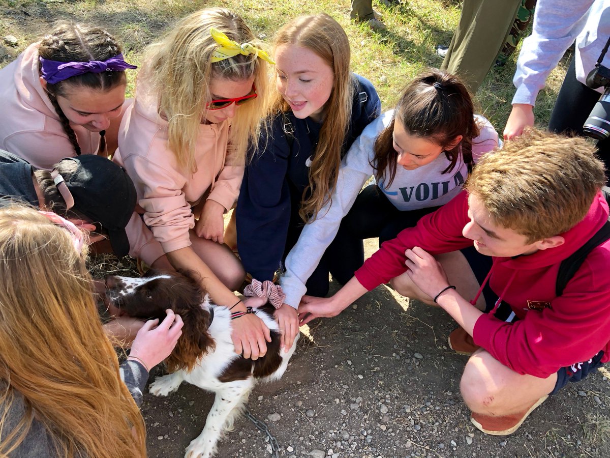TrentinKenya's tweet photo. We have just come back from our visit to the Anti-Poaching Dog Unit! The first part of our 'tour' involved meeting all the dogs, who were all super excited to meet us (and vice-versa!) @TrentCollege #TrentInKenya #CuteDogs #CuteButClever #ImpressiveAnimals #DoingImportantWork https://t.co/XxgegUAdys