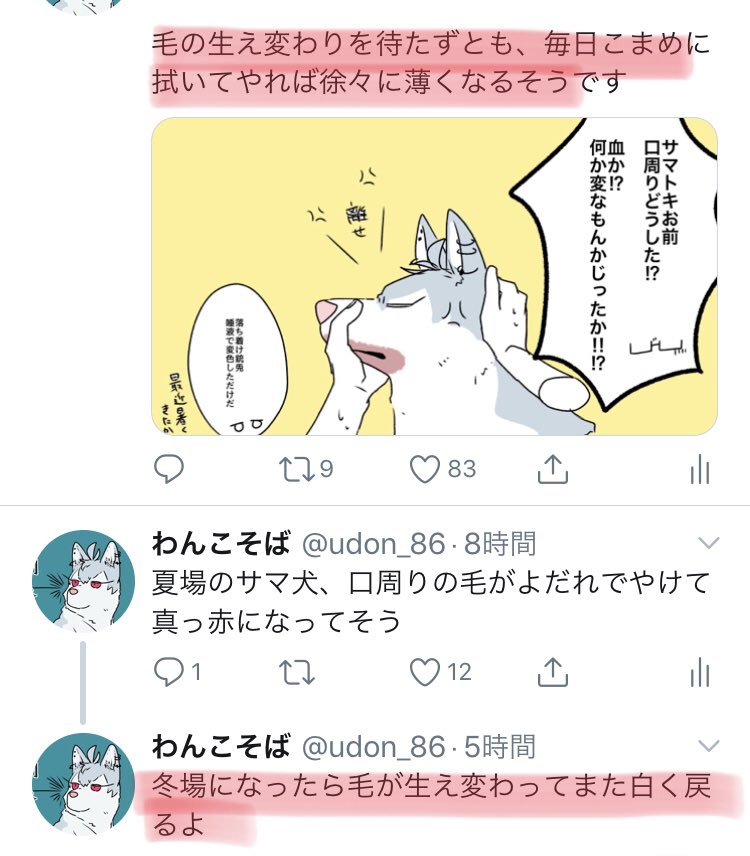 このへん語弊があるな…

🐴犬のよだれやけは暑さにゼェハァしながら床に寝そべってるからなるやつで、期間限定だから毛が生え替わる冬には元どおり!という理屈です
マルチーズなど口元の毛が長い犬種はこれとまた別で、口周りの毛が常に濡れてる状態なのでお手入れをしないと多分赤っぽいままです 