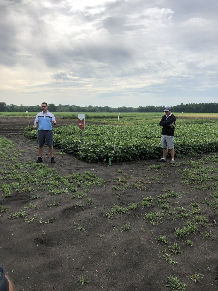 GJBManning's tweet photo. Beauty of a morning for a crop tour. @Bayer4CropsCA #highbluff https://t.co/fACyM195zB