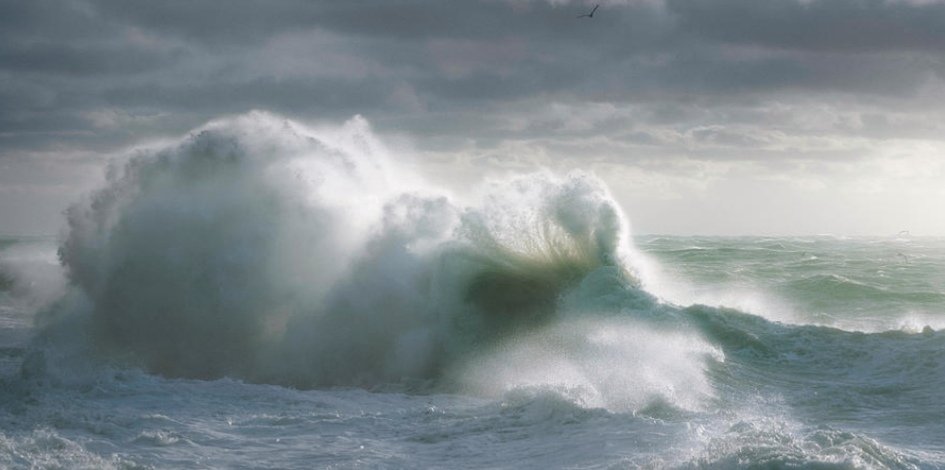AllieviPhoto's tweet photo. "There is nothing more enticing, disenchanting, and enslaving than the life at sea." - Joseph Conrad

Prints available here:
https://t.co/aEQQnR16SE

#ocean #Weather #wallart
#Surf https://t.co/DOFbB74kRe