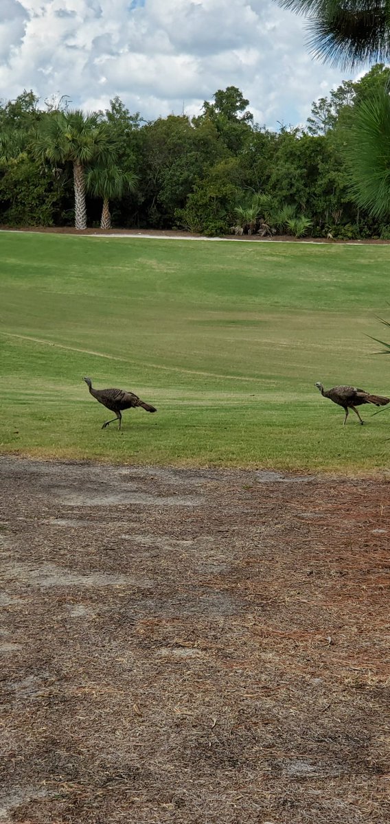 Never know what your going to see when the course is closed