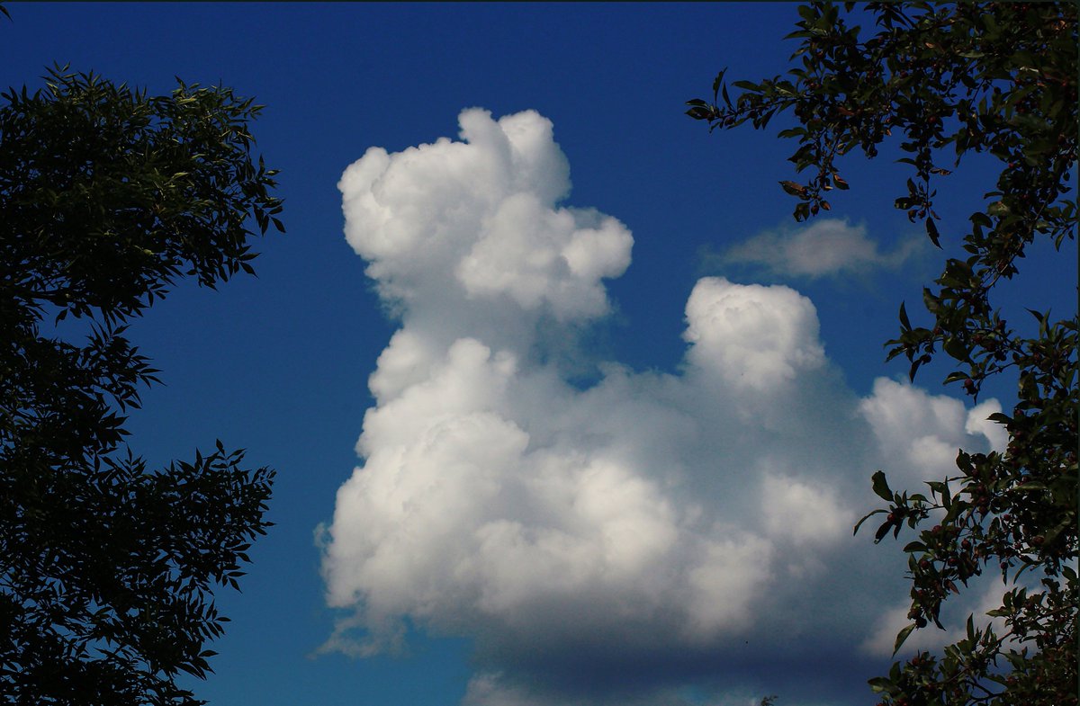 Kippalainen's tweet image. Niin monenlaista pilveä kulkee taivaalla.
Joku matkaa vain lyhyen hetken,
toinen kasvaa ja vaeltaa laajaltikin. ☁️   👁️👁️

#valokuvaus #kesae #pilvi #saeae #Helsinki
#photo #clouds #weather