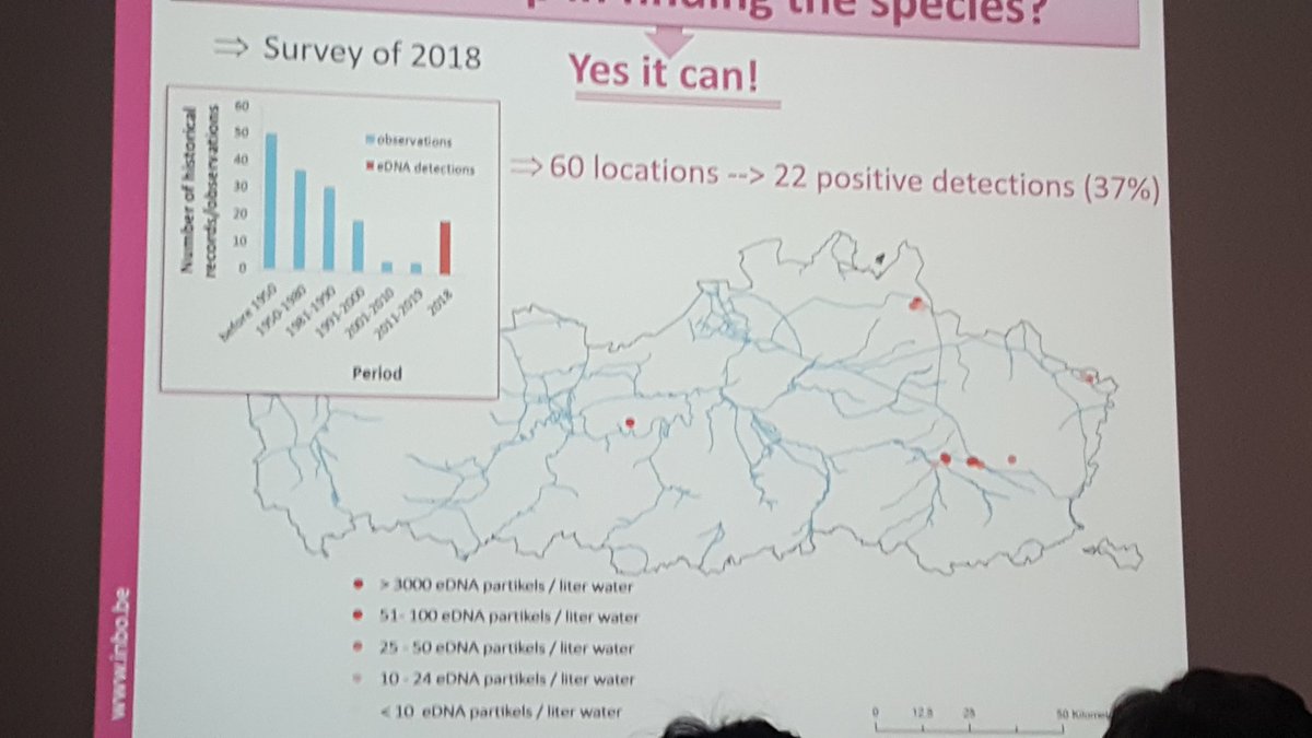 alpineedna's tweet photo. #ReinBrys https://t.co/MJFBoWbQWM using creative #eDNA methods for understanding detection of the weather loach in Flanders. Dispersion experiments, ddPCR overcoming inhibition challenges  #FBSI19 https://t.co/ygdM2QXaK7