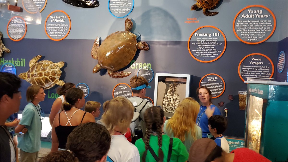 palmbeach4h's tweet photo. Spending the morning @LoggerheadMC during day 3 of our #marinescience #4HCamp learning about sea turtles and human impacts on turtles. #palmbeach4h #FL4h #4hgrowshere #4heverywhere #marinelife #marinebiology #seaturtles #loggerheadmarinelifecenter https://t.co/wnP2JLwDQr