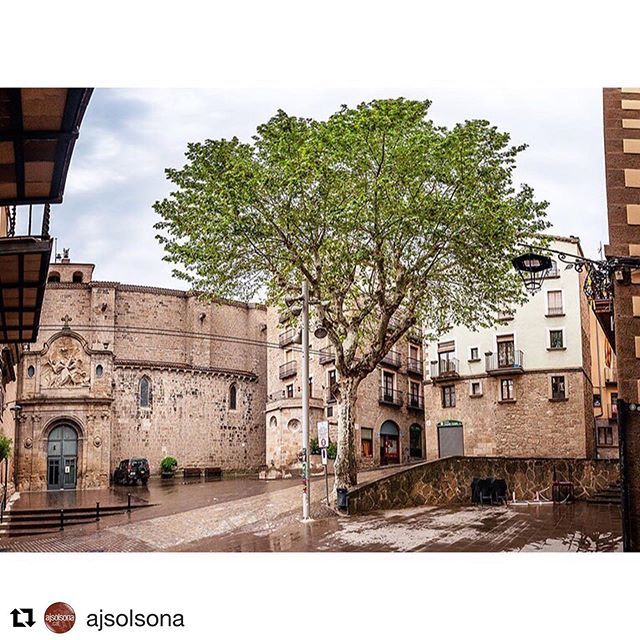 solsonaturisme's tweet photo. El plataner de la plaça de la Catedral de #Solsona es convertirà dissabte en un dels elements protagonistes de la #biofira #LEcològica. Serà a les 13 h amb la seva declaració d’arbre d’interès local. En el decurs de l’acte s’inaugurarà la placa commemora… https://t.co/LPMURtF7Cz https://t.co/P7bVYQynB8