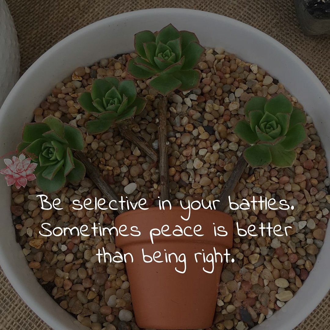 #be #selective #in #your #battles. #sometimes #peace is #better #than #being #right #succulents #success #quotes @ArborCreekNiag - Like for more success - Follow us for more success quotes @SucculentsSucc1