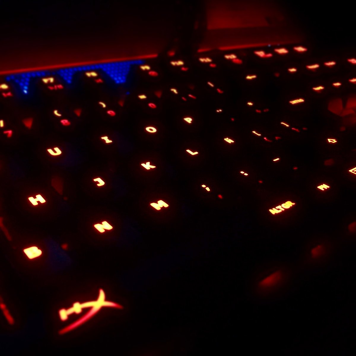 lunasllr's tweet photo. #HyperX #keyboard https://t.co/WkzPeY2SpA