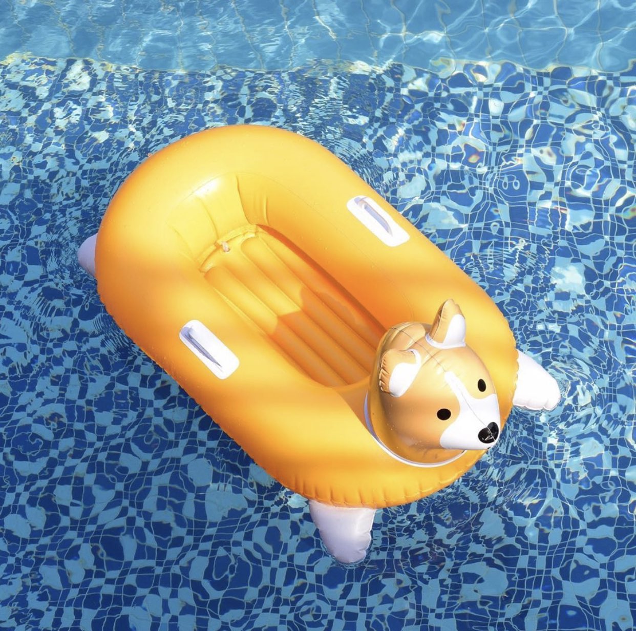 Corgi floaties hotsell