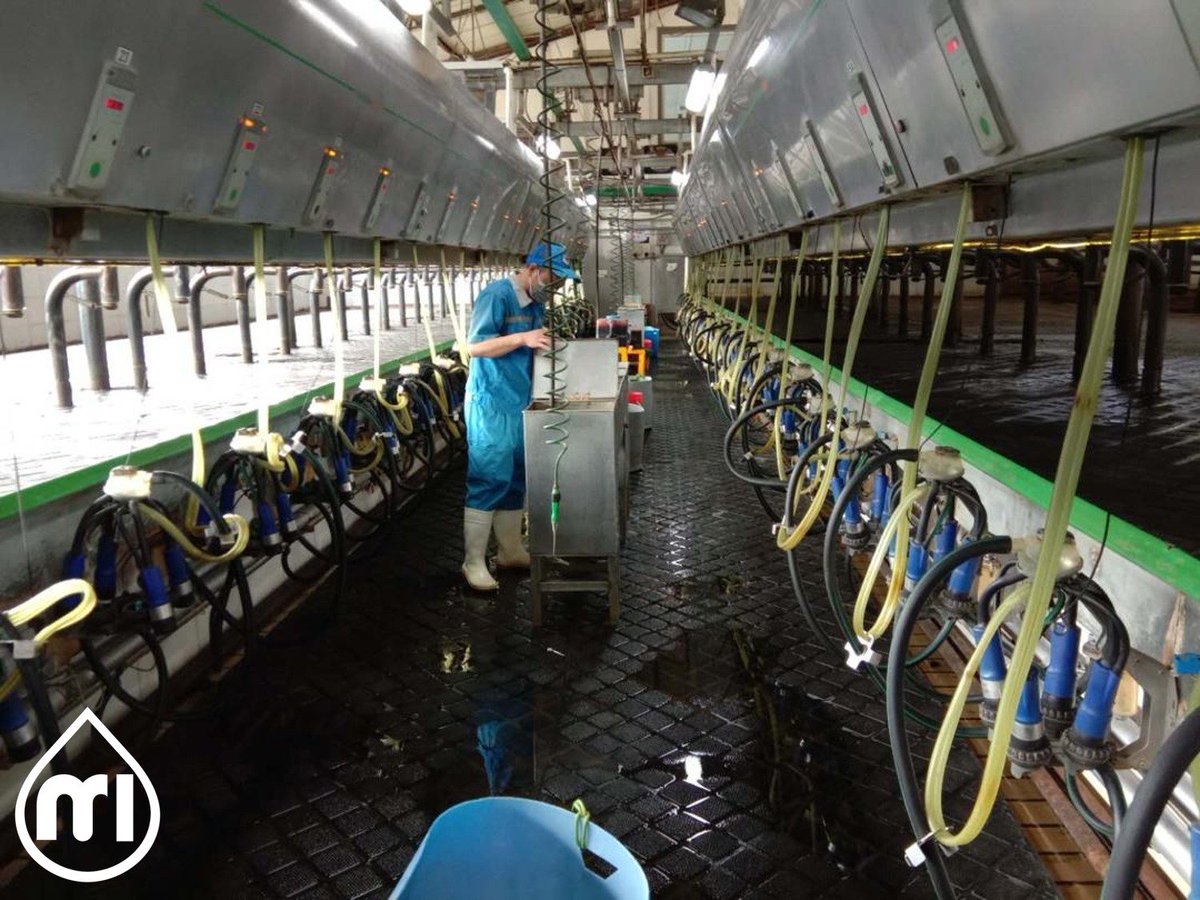 MR_ITP's tweet photo. What's the largest farm you've ever seen?! ๐ฎ
Back in May we converted the Wenshang farm in China! This amazing farm has 192 milking points๐คฏ๐ฎ! For more information visit our website at https://t.co/HogPSEc99A
#ImprovingEveryFarmWeTouch #BuildingaBrighterFuture #ImpulseAir https://t.co/Bl0WFm0dEJ