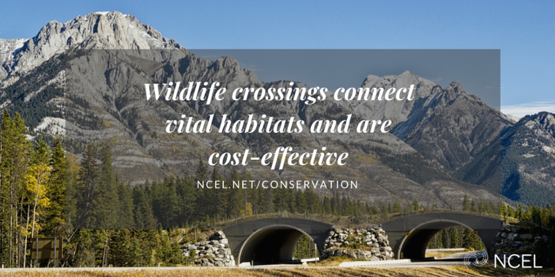 Twitter Conservation Graphics (1).png