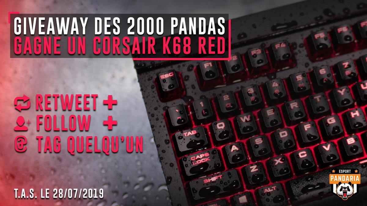 EsportPandaria's tweet photo. Pas mal de nos joueurs sont équipés de claviers @CORSAIRFRA, alors pourquoi pas vous ? 🐼

Pour vous remercier des + de 2000 abonnés, on vous fait gagner un clavier Corsair K68 Red !

➡ RT ce tweet
➡ Follow @EsportPandaria 
➡ Tag un ami

Tirage au sort le dimanche 28 juillet ! https://t.co/AjQoY026rK
