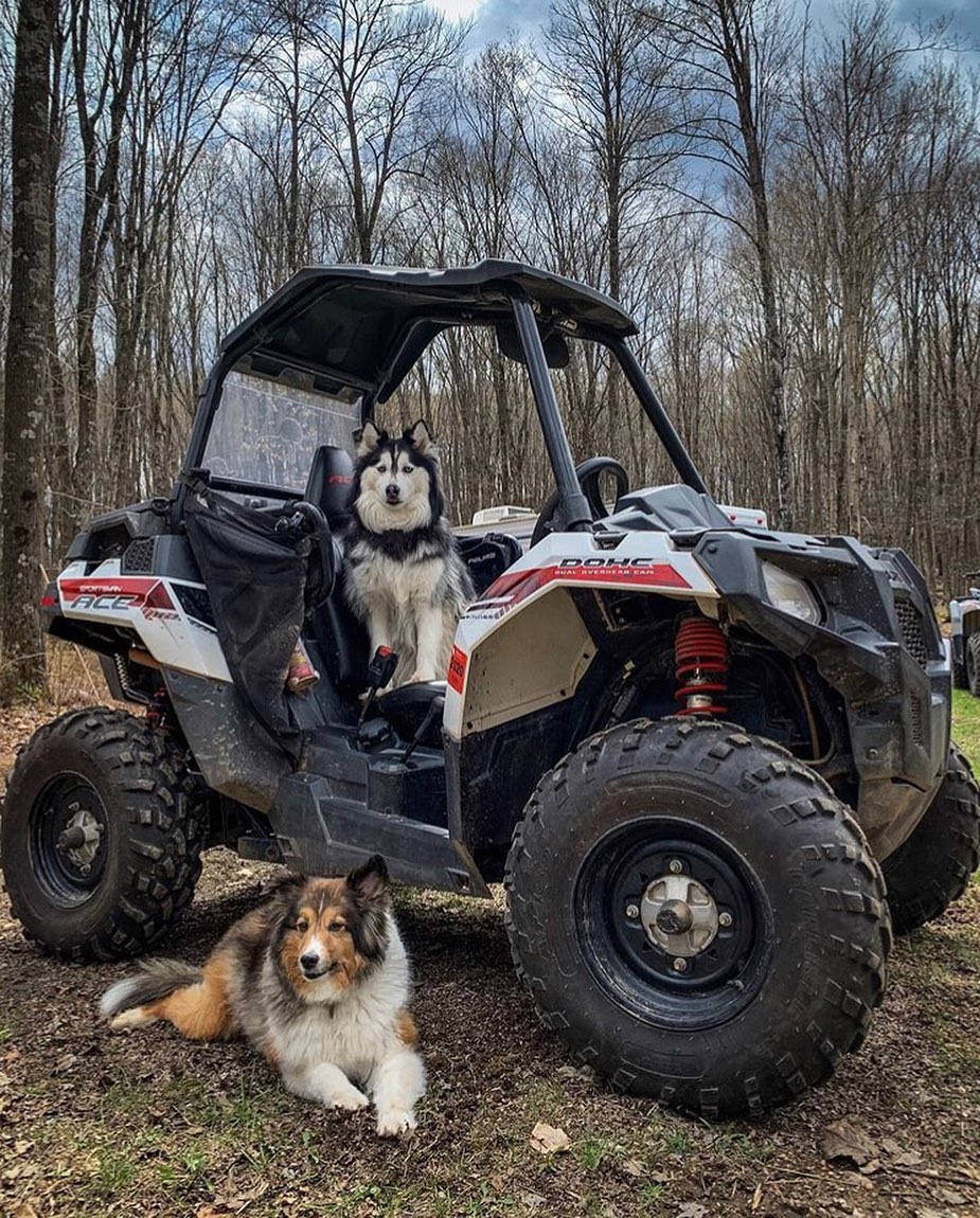 polarisquad's tweet image. Chilling with our Polaris ACE
#polarisace