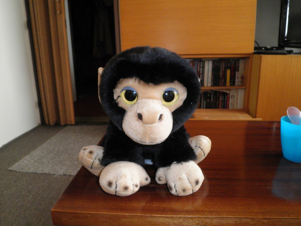 Tak kdyby někdo v <a href="/zoo_praha/">Zoo Praha</a>  nebo jejím okolí viděl povalovat se toho plyšáka, ozvěte se prosím.
Jedna malá holčička by vám byla moc vděčná
Díky za RT