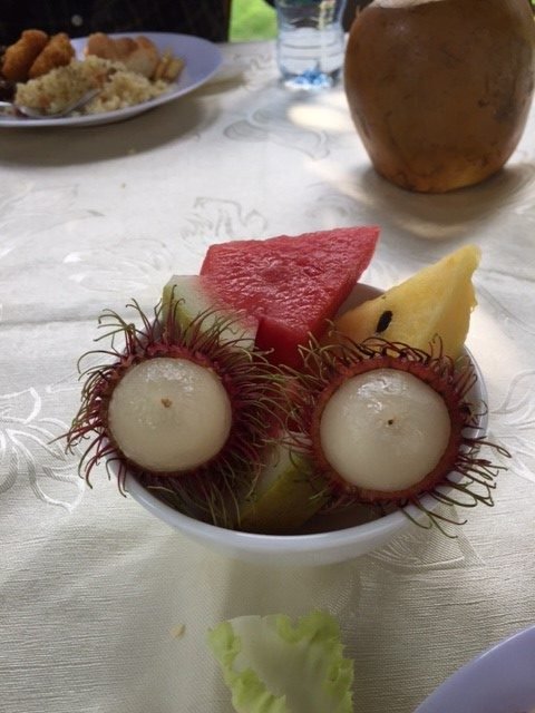 miesWdrodze's tweet image. info.dominikanie.pl/2019/07/good-m…
Liczi, które patrzy 😎 czyli Good morning Viet-nam!
Jarosław Głodek OP z Kapituły Generalnej w Biên Hòa

#KapitułaGeneralna #CapGenOP #OPPower