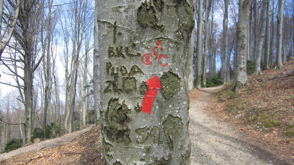🌲 In the forests of Medvednica, there are 70 mountain trails, different lengths, difficulties and walking times.

🚴There have been more and more bikers here, so some trails are marked with special cycling signs.

#Medvednica #ParkPrirodeMedvednica