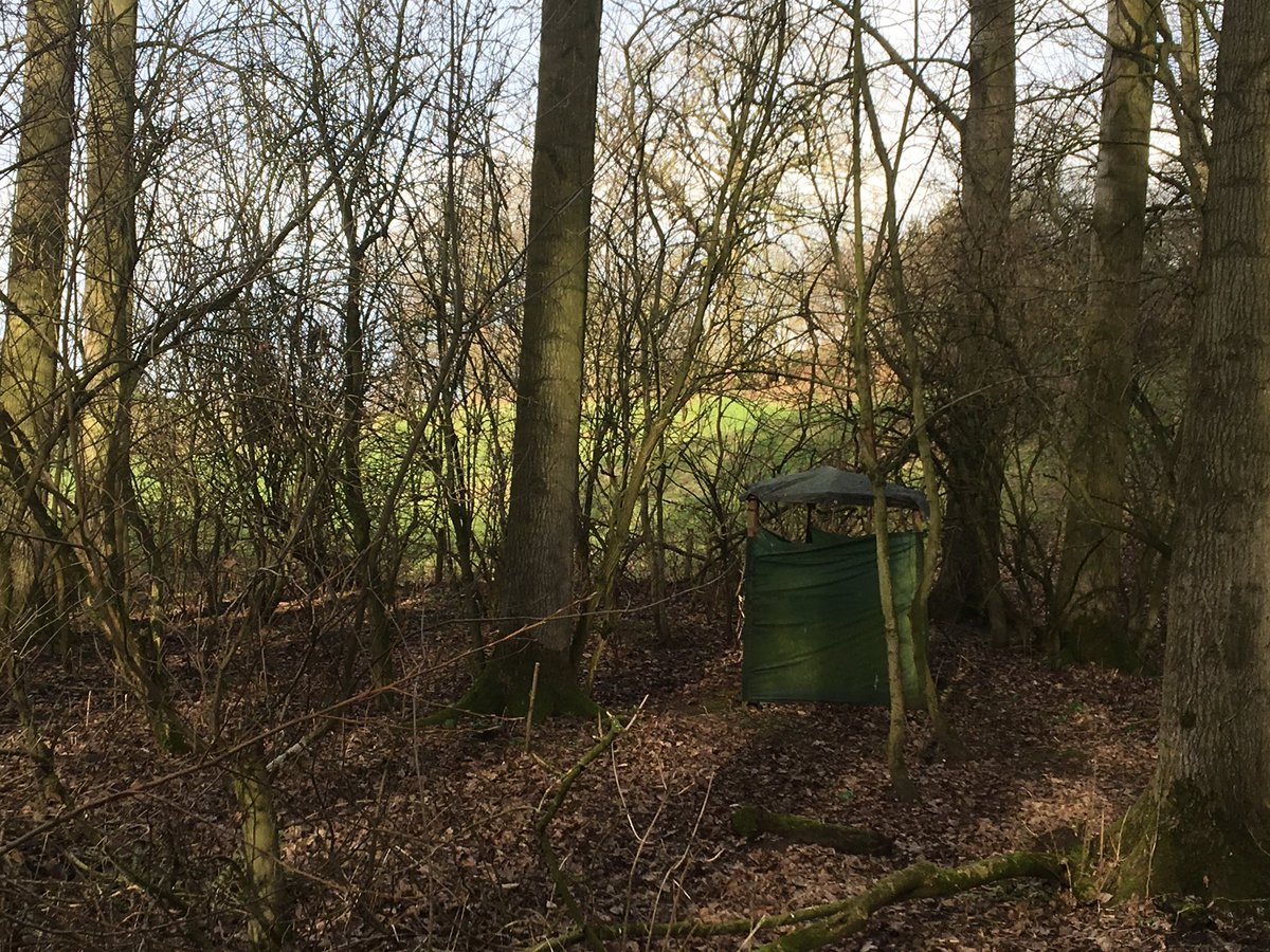 OFL_PRU's tweet photo. A year in the woods. A great time and loads of new experiences for our students. Not least the using of out side latrines. 😐🍁❄️🌷🌞😎@OFL_PRU #thanksclare #thanksmatty #ourspace #seeunextyear https://t.co/CUD5dtmVpy