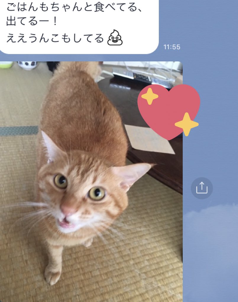 友達も元動物看護師なんだけど聞かなくても毎回報告をしてくれる 