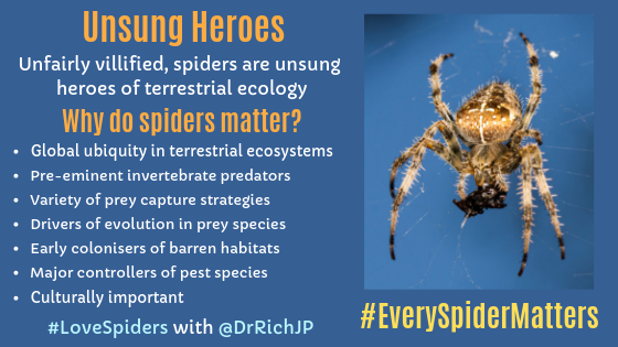 DrRichJP's tweet photo. Thanks for your support and the RT of my article
@morethanbugs. Spiders so easily overlooked & misrepresented. Thanks for helping #SpreadTheSpiderLove and redress the balance. #LoveSpiders & #EverySpiderMatters https://t.co/OADBqNYJIx