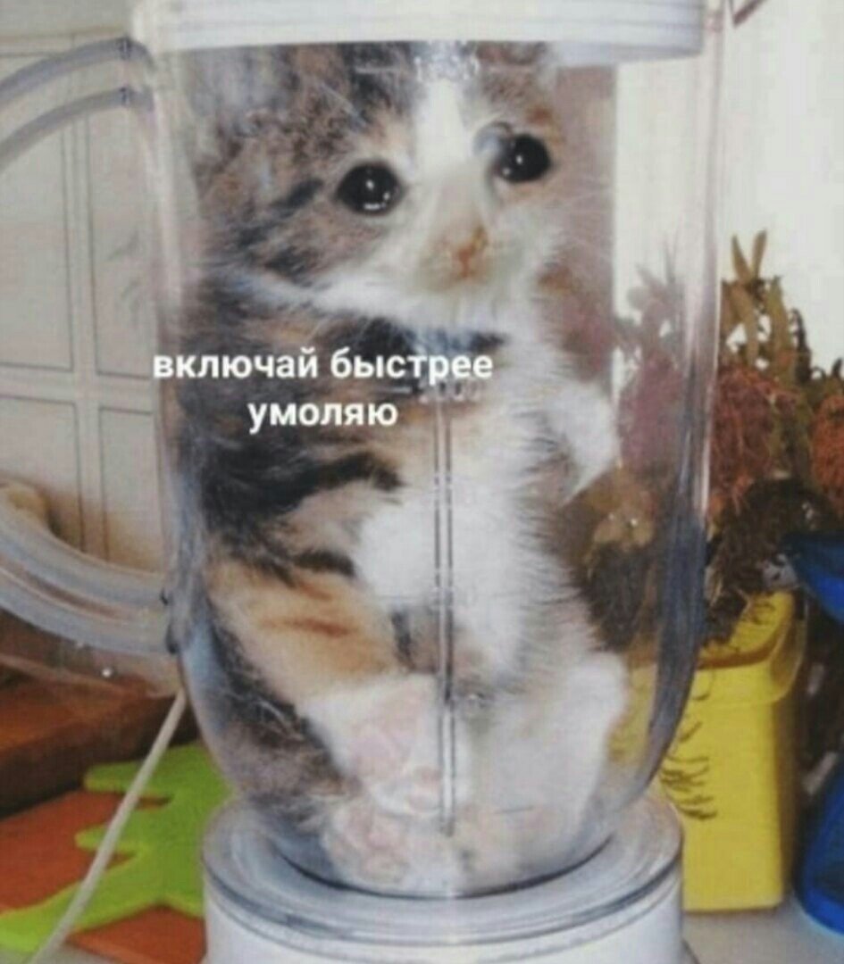 Включи быстрее 3. Быстрый запуск windows. Быстрее мемы. Мемы про чипсы. Обои не трогай мой планшет.