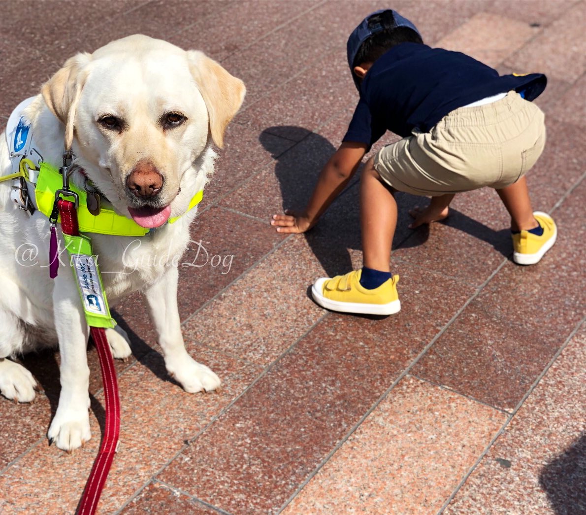 Kika looking at the camera whilst Amits toddler is bent over with his hands firmly on the pavement