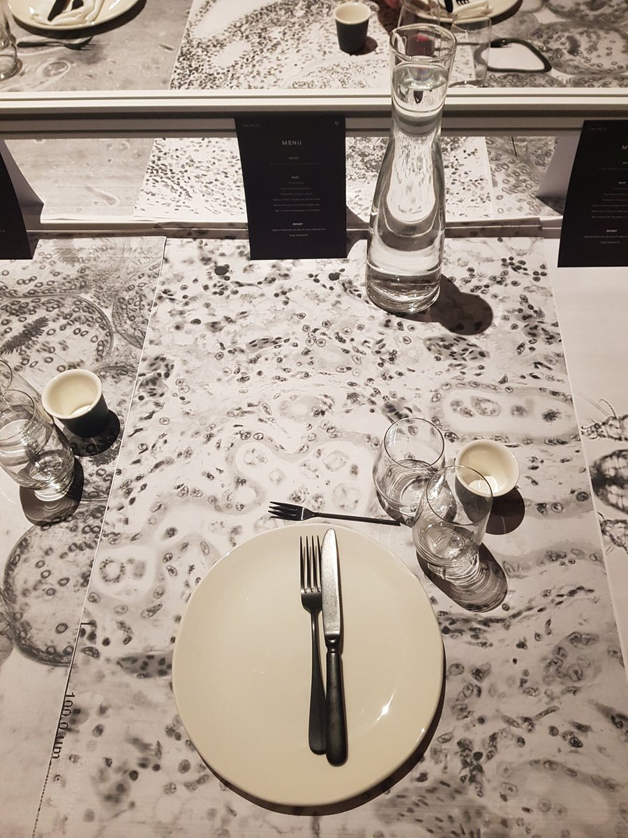 kate_illsley's tweet image. This has got to be the coolest tablecloth! @ArcitectaOnData have printed microscopic images of disease cells &amp;amp; mites as decoration for dinner 🤓
#BigData #LifeScienceData #vict4w #GoGradGirl